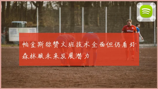 帕金斯称赞文班技术全面但仍看好森林狼未来发展潜力